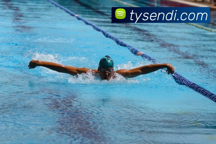 App Interface Preview